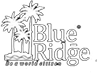 Paranjape Blueridge - The Ridges 41